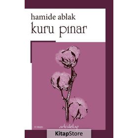 Kuru Pınar - Hamide Ablak