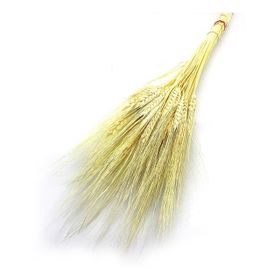 Kuruçiçek Kuru Başak Demeti Naturel Süs Çiçeği