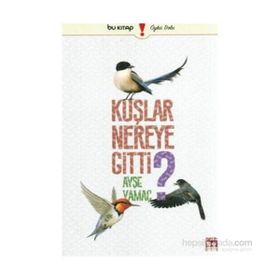 Kuşlar Nereye Gitti - Ayşe Yamaç