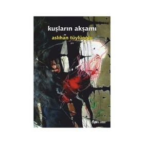 Kuşların Akşamı - Aslıhan Tüylüoğlu