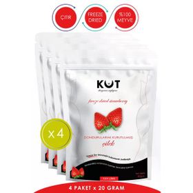 Kut 20 gr Dondurularak Kurutulmuş Çilek (4 adet)