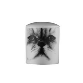 Kütahya Porselen Mum Kedi Desen Bardak