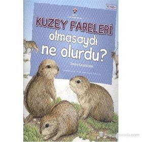 Kuzey Fareleri Olmasaydı Ne Olurdu? - Suzanne Slade
