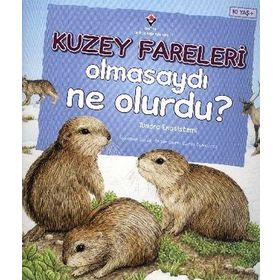 Kuzey Fareleri Olmasaydı Ne Olurdu? - Suzanne Slade