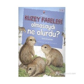 Kuzey Fareleri Olmasaydı Ne Olurdu? - Suzanne Slade