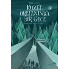 Kuzey Ormanında Bir Gece Özge Akkaya Paraşüt Kitap Yayınları