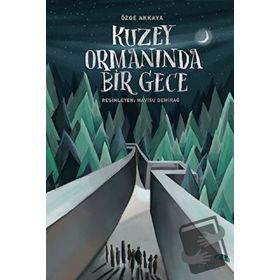Kuzey Ormanında Bir Gece Özge Akkaya Paraşüt Kitap Yayınları