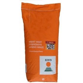 Kws 5581 50.000 Adet Hibrit Mısır Tohumu