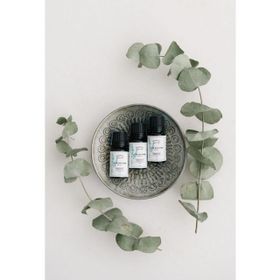 La Vie Ancienne 10 ml Okaliptus Uçucu Yağı