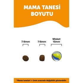 La Vital Maxi Puppy Somonlu 13 + 2 kg Hediye Büyük Irk Yavru Kuru Köpek Maması