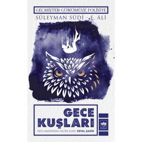 Labirent Yayınları Gece Kuşları