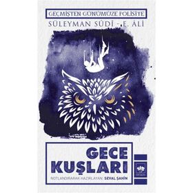 Labirent Yayınları Gece Kuşları
