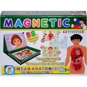 Laço LC7171 Manyetik Aktiviteler İnsan Anatomisi
