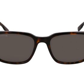 Lacoste 230 Koyu Havana Erkek Güneş Gözlüğü