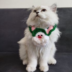 Lady Fify Noel Babalı Kedi Köpek Için Yakalık