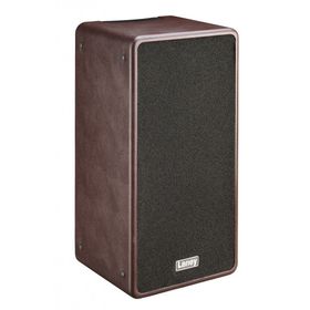 Laney A-DUO 2x8 Akustik Gitar Amfisi