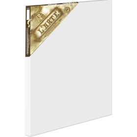 Larte 153522 40x60 cm Profesyonel Tuval
