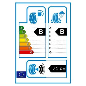 Lassa Driveways 245/45R18 100W XL Yaz Lastiği