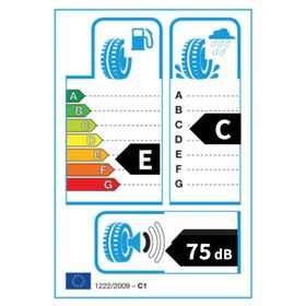 Lassa Wintus 2 215/60R16C 103/101T Kış Lastiği
