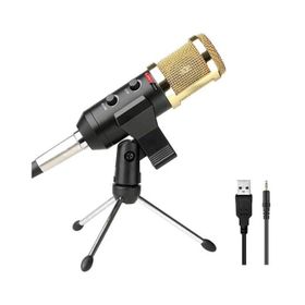 Lastvoice BM300PLUS Kondenser Stüdyo USB Mikrofonu