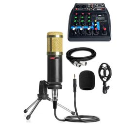 Lastvoice BM800MDX Condenser Mikrofon Phantomlu Kayıt Mikseri Seti