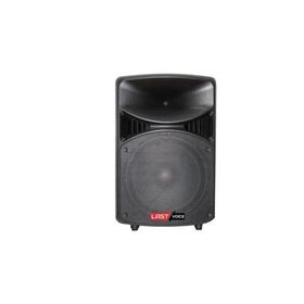 Lastvoice LX-08 8 inç 350 Watt Profesyonel Kabin Hoparlör
