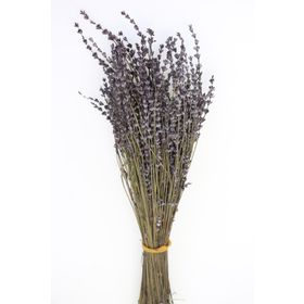 Lavanta Demeti