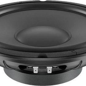 Lavoce SSF102.40 10 inç Hoparlör
