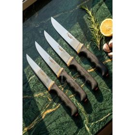 Lazbisa MFT-019 Platinum Serisi Mutfak Et Ekmek Sebze Meyve 4'lü Bıçak Set