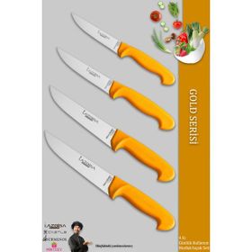 Lazbisa MTF-007 Gold Serisi Gümüş Mutfak Et Ekmek Sebze 4'lü Bıçak Set