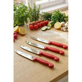 Lazbisa MTF-2011 Silver Serisi Mutfak Et Ekmek Sebze Meyve 4'lü Bıçak Set