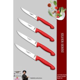 Lazbisa MTF-2011 Silver Serisi Mutfak Et Ekmek Sebze Meyve 4'lü Bıçak Set