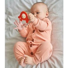 Lc Sevimli Kaplumbağa Diş Kaşıyıcı Çıngırak