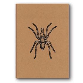 Le Color Kraft Düz Örümcek Defter