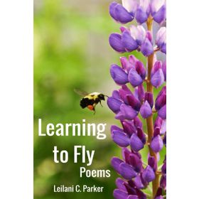 Learning to Fly - Victoria Beckham