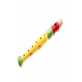 Learning Toys Ahşap Renkli Flüt