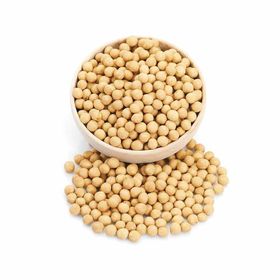 Leblevi 1 kg Çıtır Leblebi