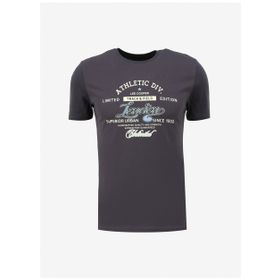 Lee Cooper 232 LCM 242024 Antrasit Bisiklet Yaka Erkek T-shirt