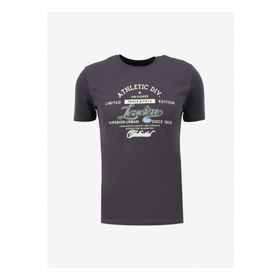 Lee Cooper 232 LCM 242024 Antrasit Bisiklet Yaka Erkek T-shirt