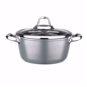 Leggno Master Gri 24 cm Titanium Tencere