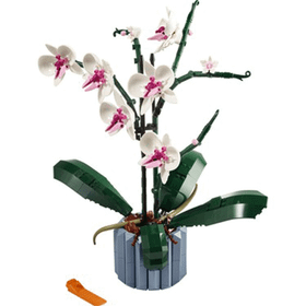 Lego 10311 Botanicals Orkide 18+ Yaş 608 Parça