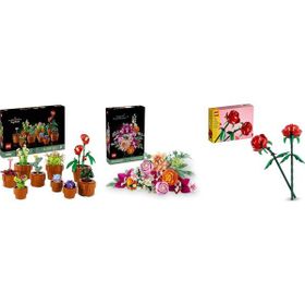 Lego 10329 + 10342 + 40460 Botanicals Seti 174
