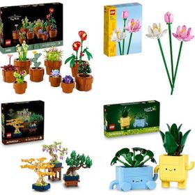 Lego 10329 + 40647 + 10373 + 10349 Botanicals Seti 206