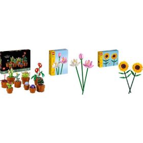 Lego 10329 + 40647 + 40524 Botanicals Seti 151
