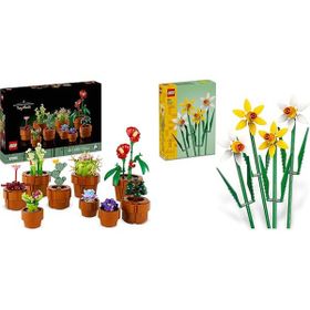 Lego 10329 + 40747 Botanicals Seti 60