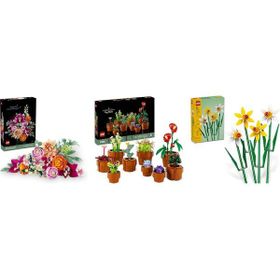 Lego 10342 + 10329 + 40747 Botanicals Seti 191