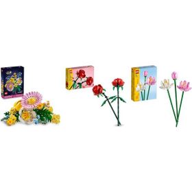 Lego 10347 + 40460 + 40647 Botanicals Seti 181
