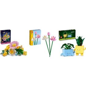 Lego 10347 + 40647 + 10349 Botanicals Seti 168