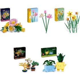 Lego 10347 + 40647 + 40747 + 10373 + 10349 Botanicals Seti 373