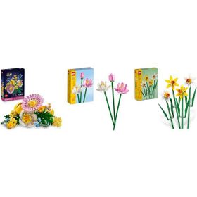 Lego 10347 + 40647 + 40747 Botanicals Seti 110